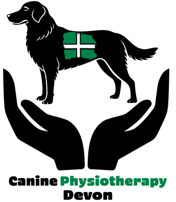 Canine Physiotherapy Devon